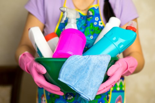 Deep carpet cleaning in Elm Park for pet stains and allergens