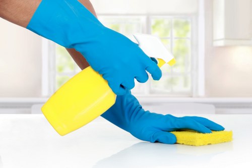 Professional Elm Park carpet cleaners restoring a living room carpet