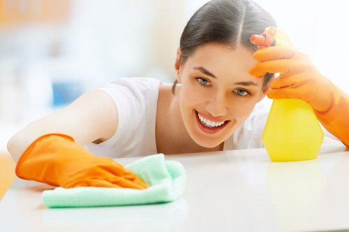 Professional steam carpet cleaning in Elm Park for fresh and deep-cleaned carpets