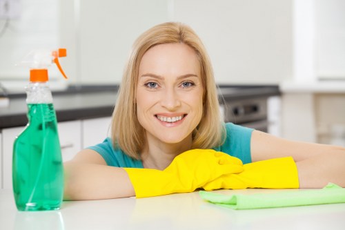 Kitchen and pet stain removal in Elm Park