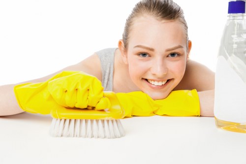Local carpet cleaning service in Elm Park removing dirt from hallway carpet