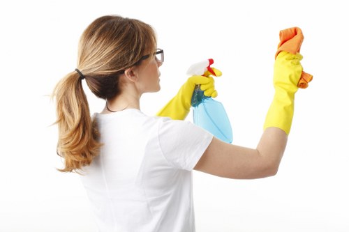 Common household stains needing cleaning in Elm Park