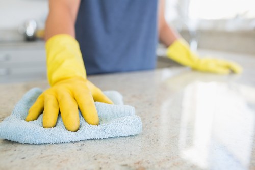 Deep mattress cleaning service removing dust and stains in Elm Park