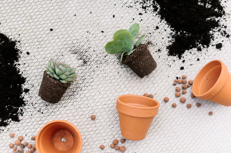 home cleaning upholstery cleaning